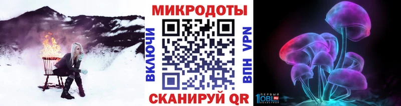 магазин    Валуйки  Галлюциногенные грибы GOLDEN TEACHER 