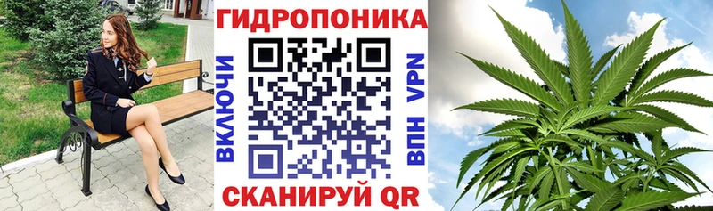 Канабис планчик  Валуйки 